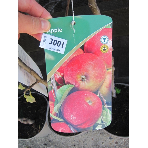 3001 - An Apple Tree 