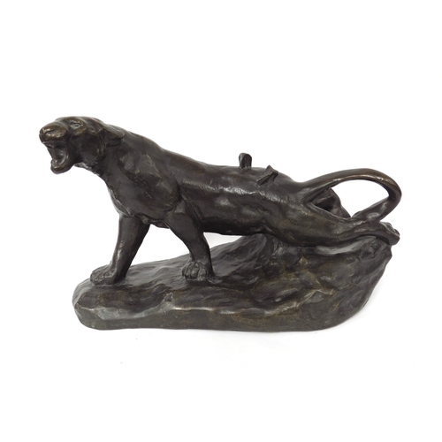 4163 - A hollow cast bronze of a roaring leopard with two arrows immersed in its back, 27cm x 45cm