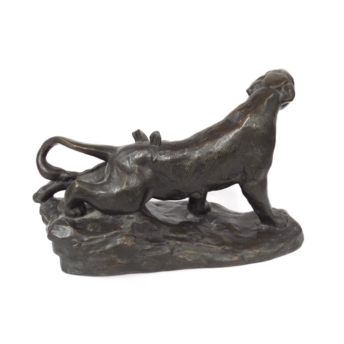 4163 - A hollow cast bronze of a roaring leopard with two arrows immersed in its back, 27cm x 45cm