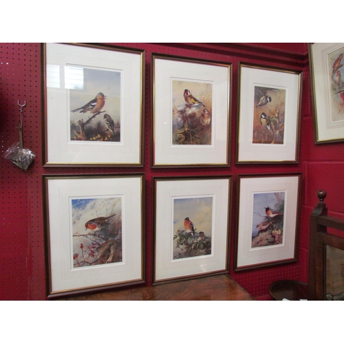 4132 - A set of six Archibald Thorburn limited edition bird prints No. 540/1,500, 28.5cm x 20cm image sizes... 