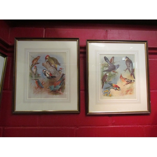 4132 - A set of six Archibald Thorburn limited edition bird prints No. 540/1,500, 28.5cm x 20cm image sizes... 