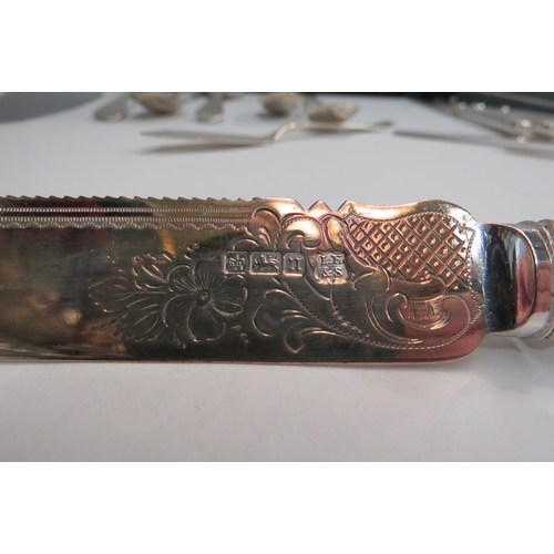 4338 - An Edwardian cake knife with silver 