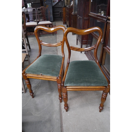 2190 - Two Victorian mahogany balloon back chairs