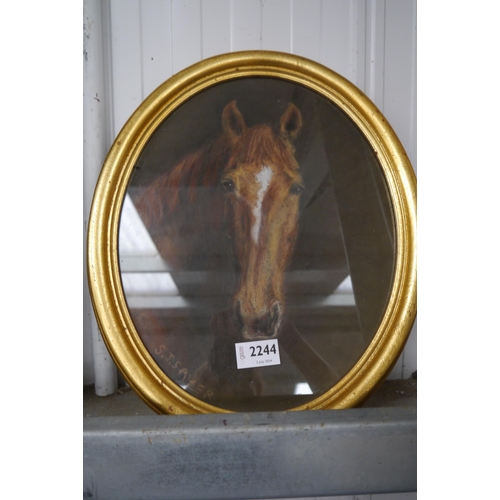 2244 - An oval framed oil painting of a horse signed S J  Sayer