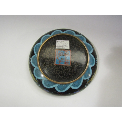 4302 - A 20th Century Cloisonne shallow bowl with dragon chasing the pearl design, 20cm diameter