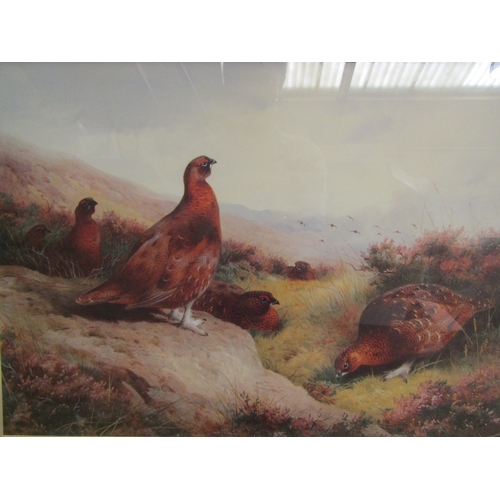 4475 - Two Archibald Thorburn prints of birds including limited edition print of snipes and partridges, bot... 