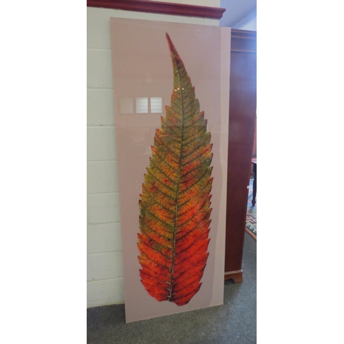 2466 - A modern photographic print of an Autumn leaf, perspex and aluminium frame. 200cm x 75cm