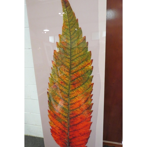 2466 - A modern photographic print of an Autumn leaf, perspex and aluminium frame. 200cm x 75cm