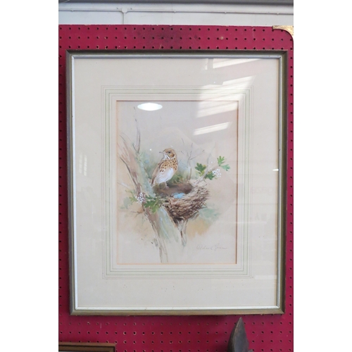 1072 - ROLAND GREEN (1890-1972): A watercolour and gouache of a Mistle Thrush.  Signed lower right.  Framed... 