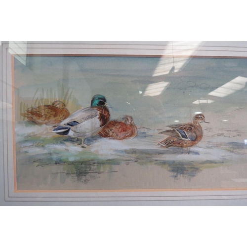 1077 - ROLAND GREEN (1890-1972): A watercolour and gouache of ducks at the waters edge.  Artist details to ... 