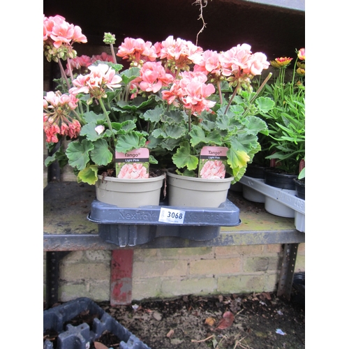 3068 - 8 Geranium 