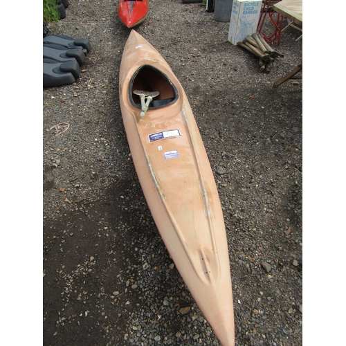 3376 - A fibreglass canoe with oars