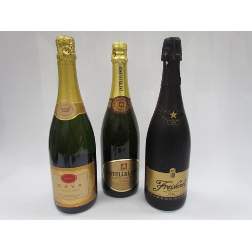 9076 - Castellblanch Grand Cremant Cava, Freixenet Cava, Blanc de Blancs Brut Cava (3)