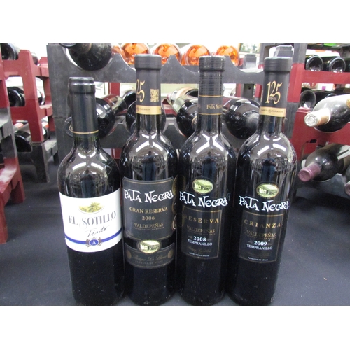 9112 - 2006 Garcia Carrion Pata Negra Tempranillo Crianza, Valdepenas, Spain x 2, 2008 x 3, 2009 x 3. El So... 