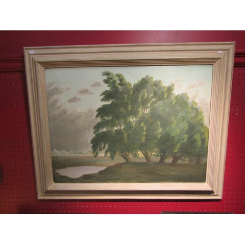 4031 - ALFRED RICHARD BLUNDELL (1883-1968): A framed oil on board, trees on lake edge. Signed bottom right.... 