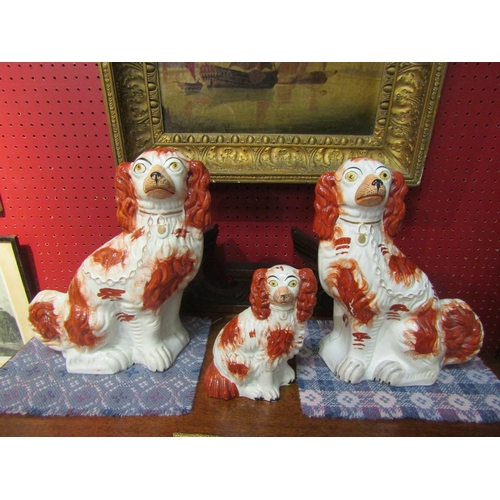 4037 - A pair of 19th Century rust coloured Staffordshire dogs, 32cm tall, and a single rust coloured Staff... 