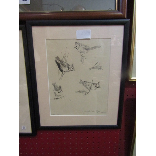 4059 - EILEEN ALICE SOPER (1905-1990): A framed and glazed pen and ink sketch of Crested Tits. Pencil signe... 