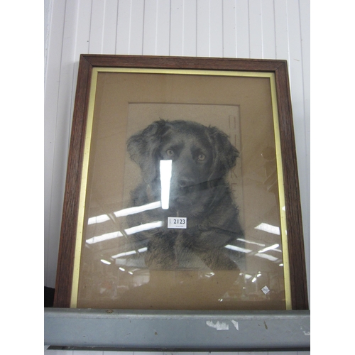 2123 - NELWE HADDON: Study in pastel entitled Duke, monogrammed NH and dated 1905, 53cm x 43cm, framed and ... 