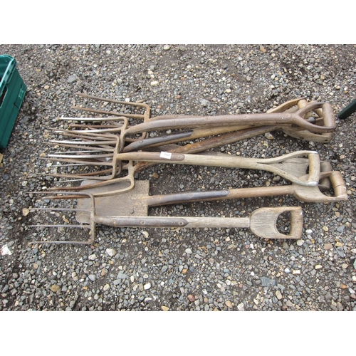 3607 - A bundle of forks and a spade