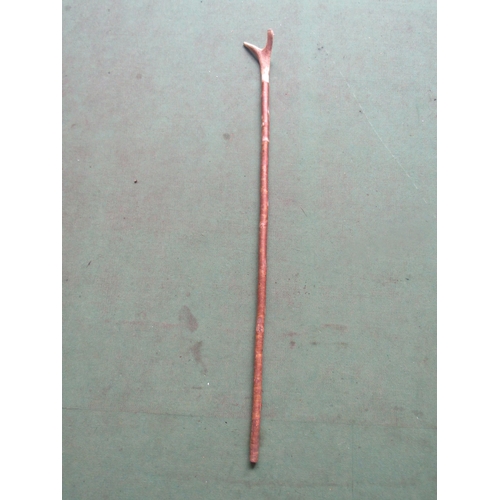 5031 - A horn handled walking stick