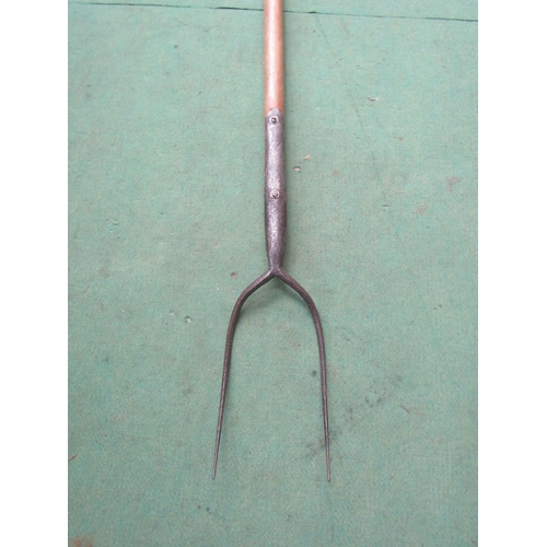 5034 - A two tine pitch fork