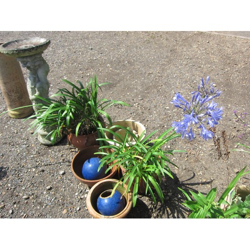 3631 - Six mixed pots including terracotta, some planted and a pair of blue glazed garden orbs