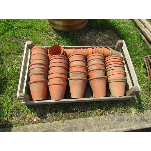 5556 - A tray of terracotta pots