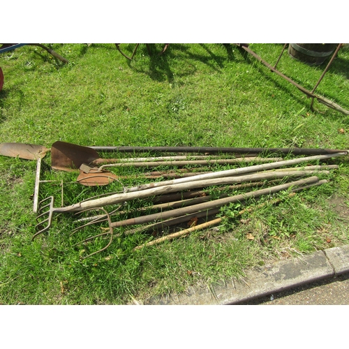 5560 - A quantity of bygone tools including a rabbiting spade