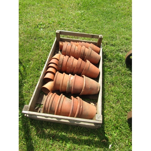 5569 - A tray of terracotta pots