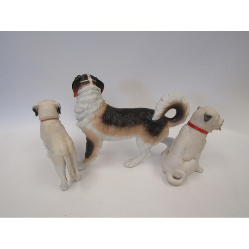 1650 - Two Edwardian china Pug dogs and another (paw a/f)