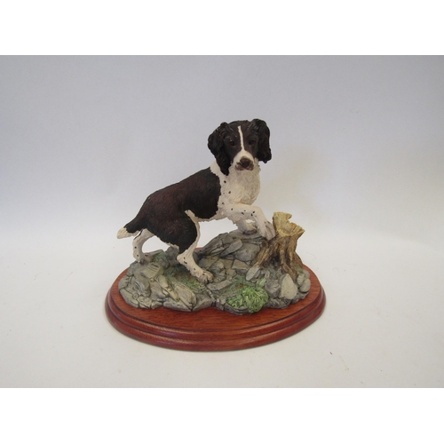 1651 - A Border Fine Arts figure of a working spaniel