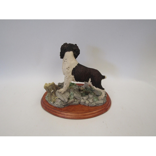 1651 - A Border Fine Arts figure of a working spaniel