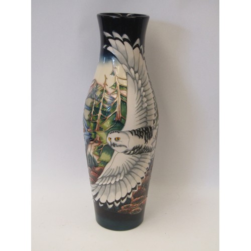 1022 - A modern Moorcroft vase of slender baluster form, decorated with snowy owls in flight over pine fore... 