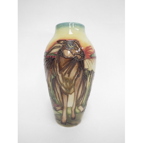 6619 - A Moorcroft vase designed by Kerry Goodwin depicting Hares in ploughed field, 56/75, 21cm tall