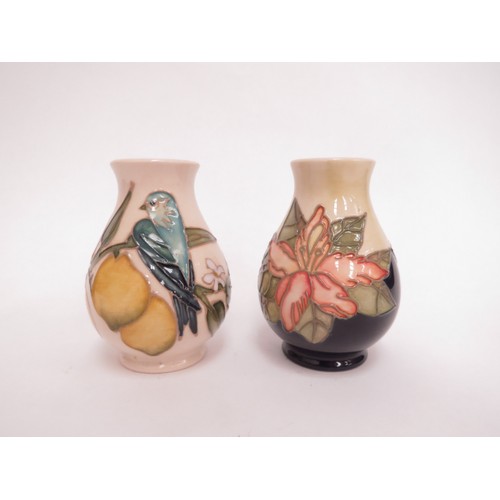 6628 - Two pieces of Moorcroft including Lemons with Bluebird pattern vase, 10cm tall and another with oran... 