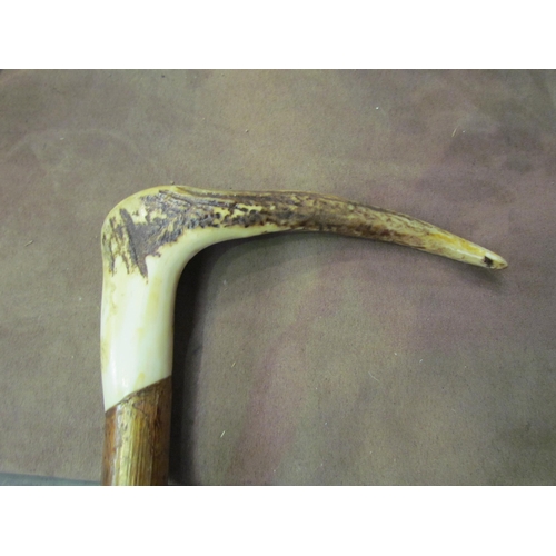 4014 - An antler handled hazel walking stick, 135cm long