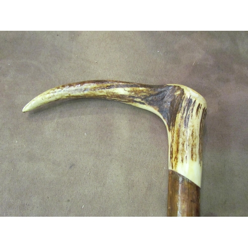 4014 - An antler handled hazel walking stick, 135cm long