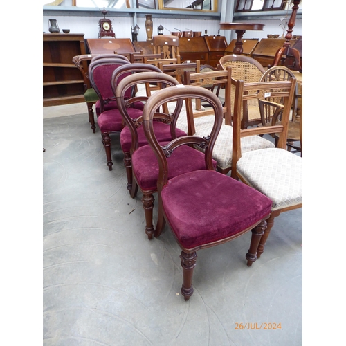 2193 - Five assorted Victorian mahogany balloon back dining chairs