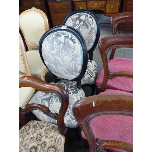 2201 - A pair of French 19th Century ebonised chairs on cabriole legs