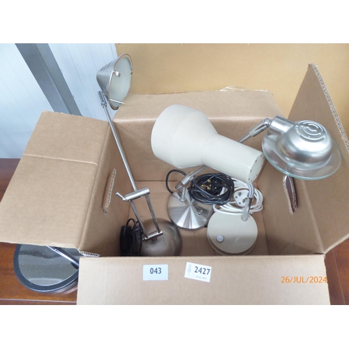 2427 - A box of lamps and a lounge lamp