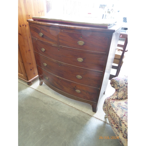 2444 - A late Georgian flame mahogany bow fronted chest of two short over three long drawers, brass oval ha... 