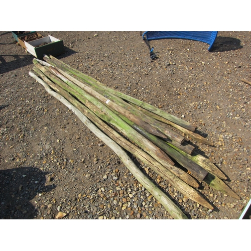 3545 - A quantity of timber stakes