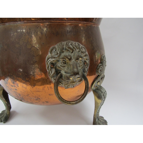 6038 - A 19th Century copper coal bin with lion mask ring handles raised on paw feet