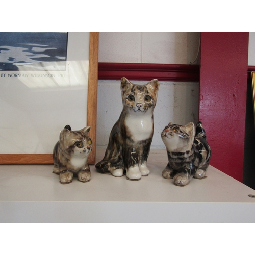 1444 - Three Winstanley cat figures, tallest 18cm