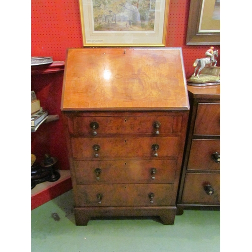 4072 - Circa 1930 a figured walnut writing bureau the fitted interior over four graduating drawers on brack... 