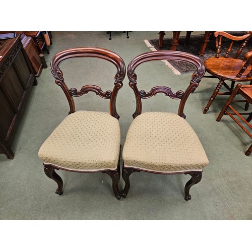 4086 - A pair of William IV rosewood chairs with carved decoration over scroll foot cabriole fore legs