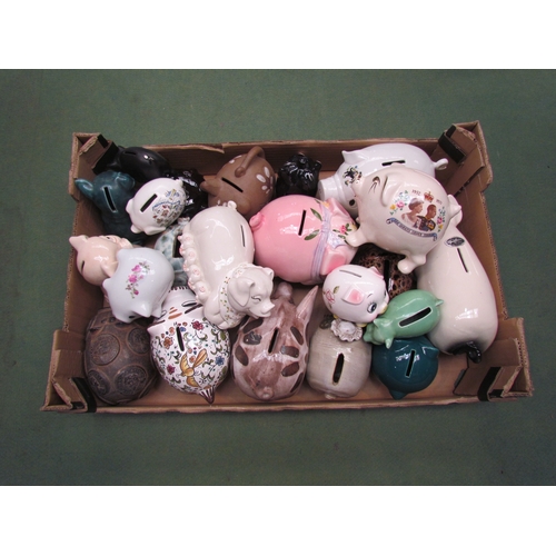 4272 - A box of ceramic and studio pottery pig money boxes including Royal Commemorative and hand painted e... 