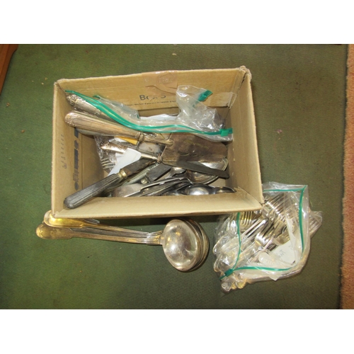 4025 - A box of plated flatware to include ladles, carving knife and fork, forks, teaspoons etc.