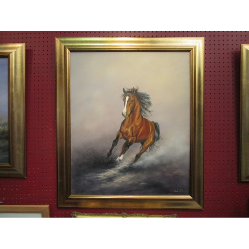 4055 - DAVID WALLER: An oil on canvas depicting Bay Horse, white blaze and socks, in full gallop.  Signed l... 