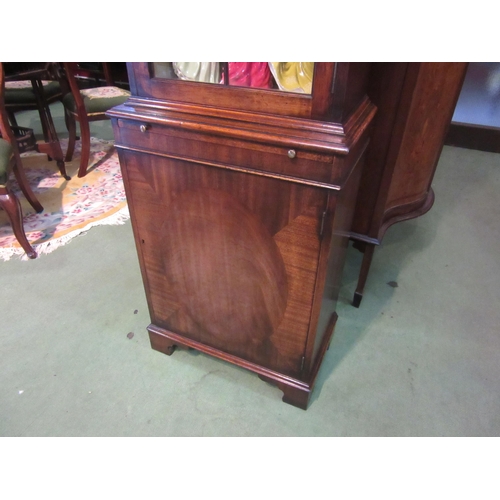 4078 - A George III revival mahogany full height narrow pier cabinet, the panel glazed door over a brushing... 